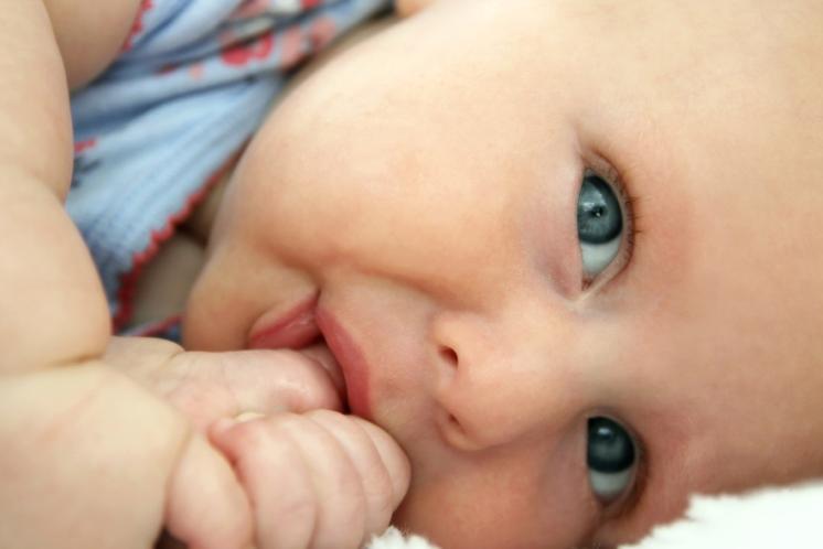baby sucking thumb looking at camera