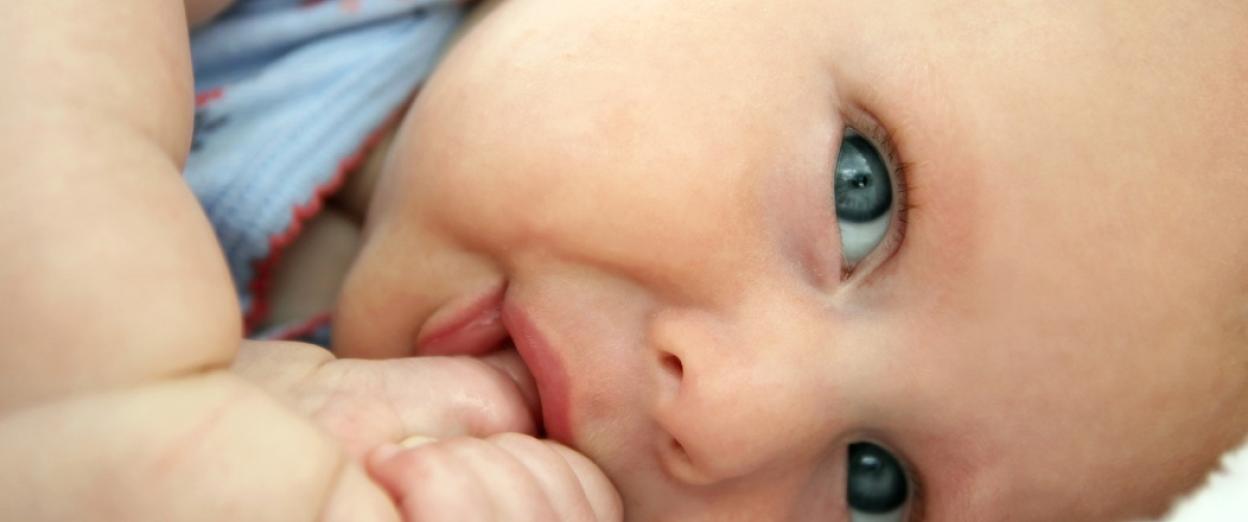 baby sucking thumb looking at camera