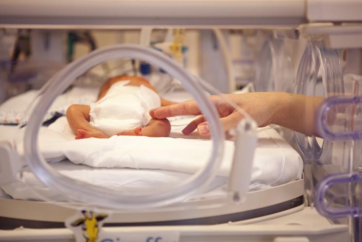 parent's hand touching premature baby in the NICU