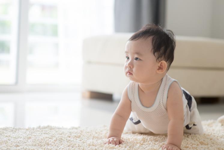 a baby practicing crawling on a well lit living room on a soft rug