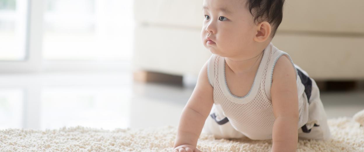 a baby practicing crawling on a well lit living room on a soft rug