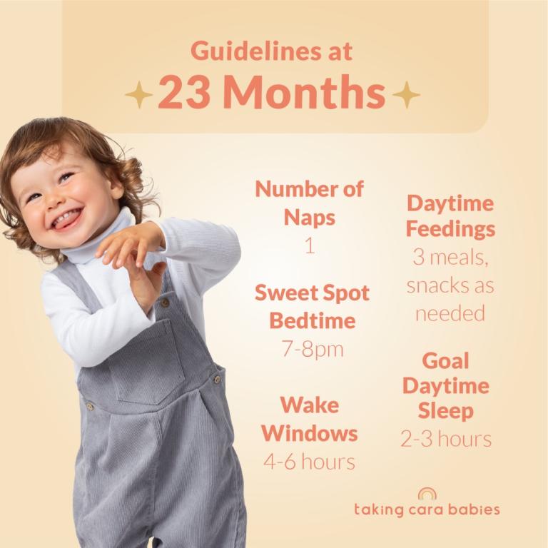 23 month sleep guidelines