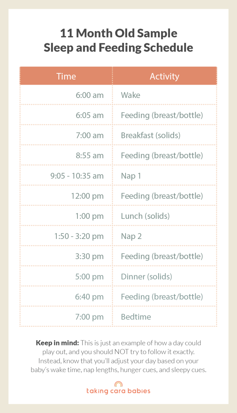 11 month old baby sample sleep and feeding schedule