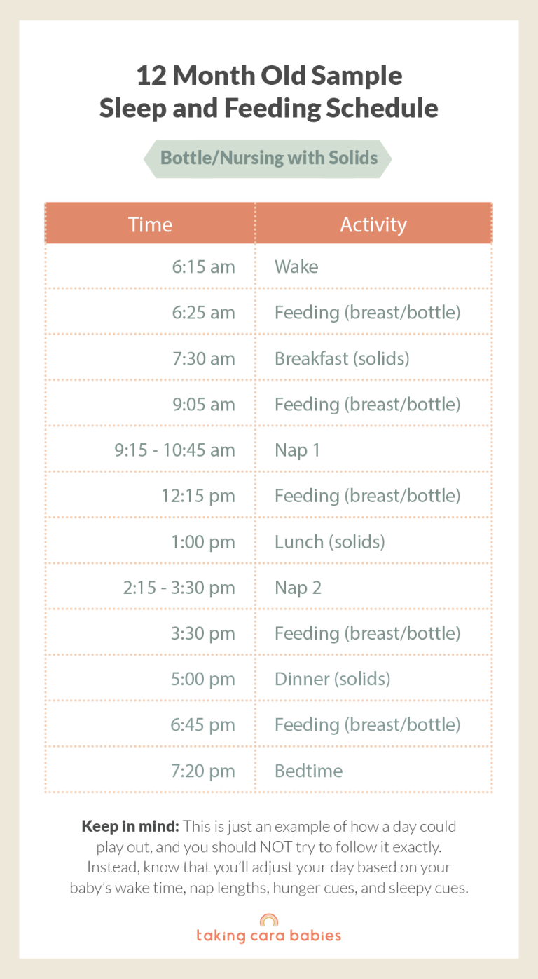 12 Month Old sample sleep and feeding Schedule on Bottle/Nursing and Solids