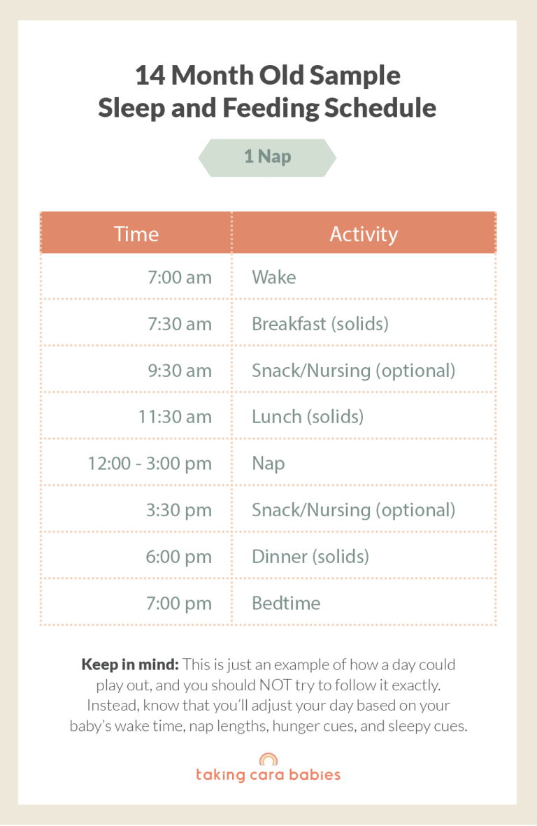 14 Month Old Sample Sleep and Feeding Schedule on 1 Nap