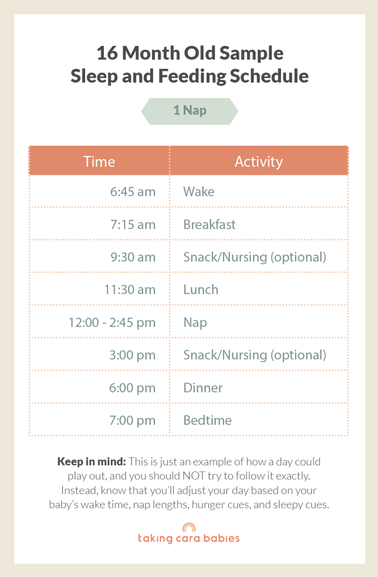16 Month Old Sample Sleep and Feeding Schedule on 1 Nap
