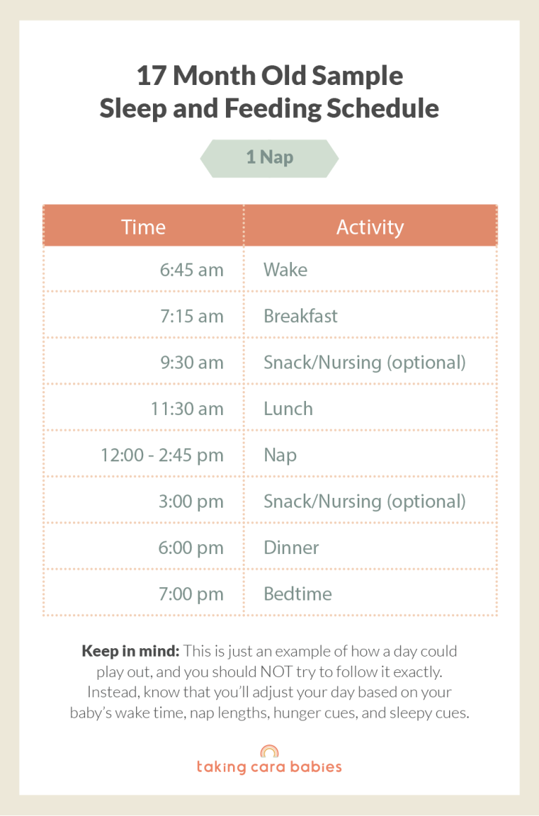 17 Month Old Sample Sleep and Feeding Schedule on 1 Nap