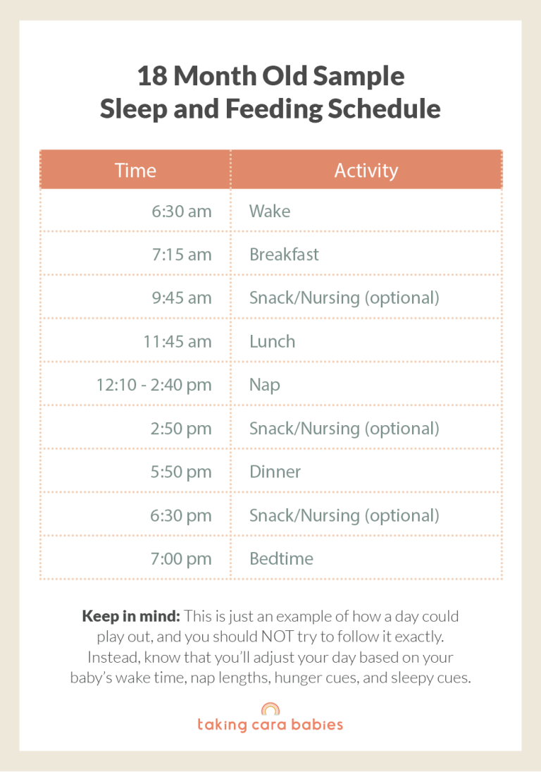 18 Month Old Sample Sleep and Feeding Schedule