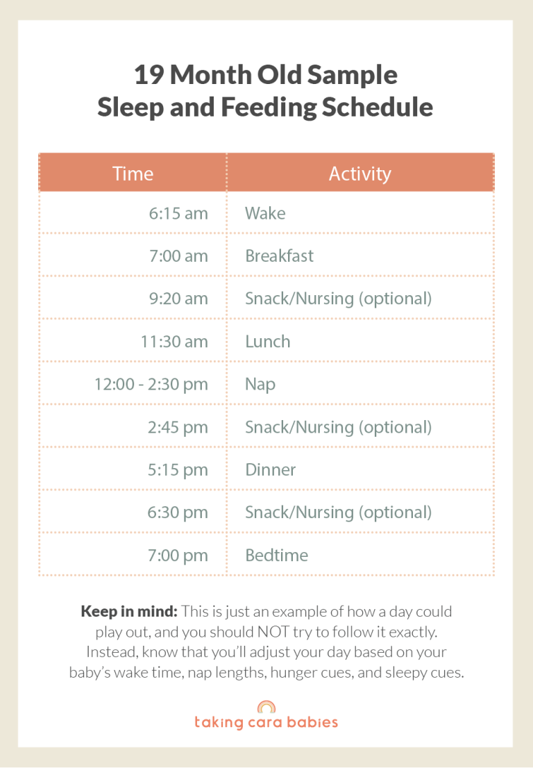 19 Month Old Sample Schedule