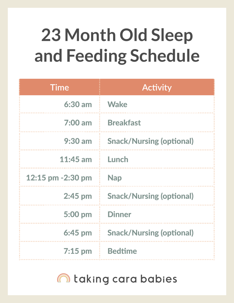 23 month old sample schedule
