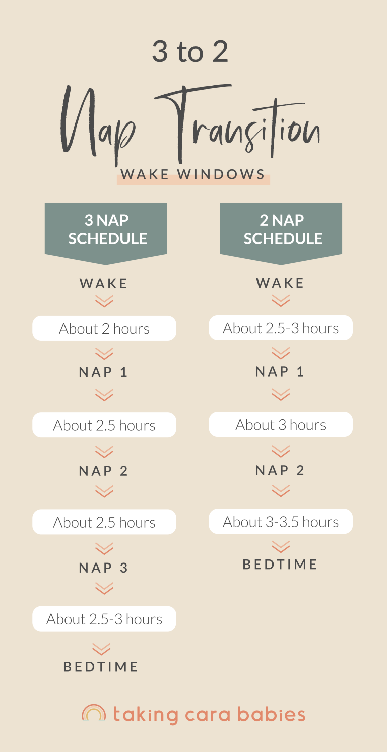 3 Nap Schedule: Wake; About 2 hours Nap 1; About 2.5 hours Nap 2; About 2.5 hours Nap 3; About 2.5 - 3 hours Bedtime. 2 Nap Schedule: Wake; About 2.5–3 hours Nap 1; About 3 hours Nap 2; About 3-3.5 hours Bedtime.