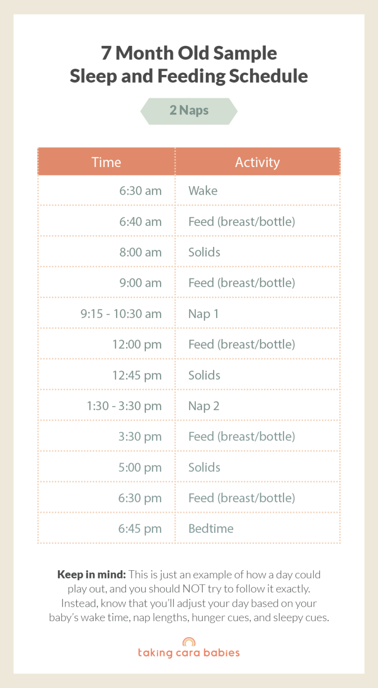 7 Month Sample Feeding Schedule (2 Naps)