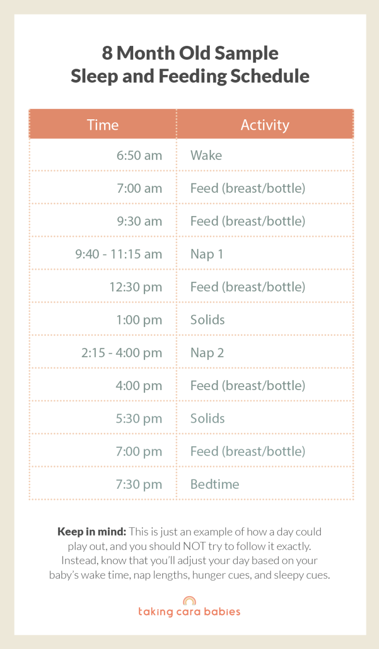 8 month old sample schedule