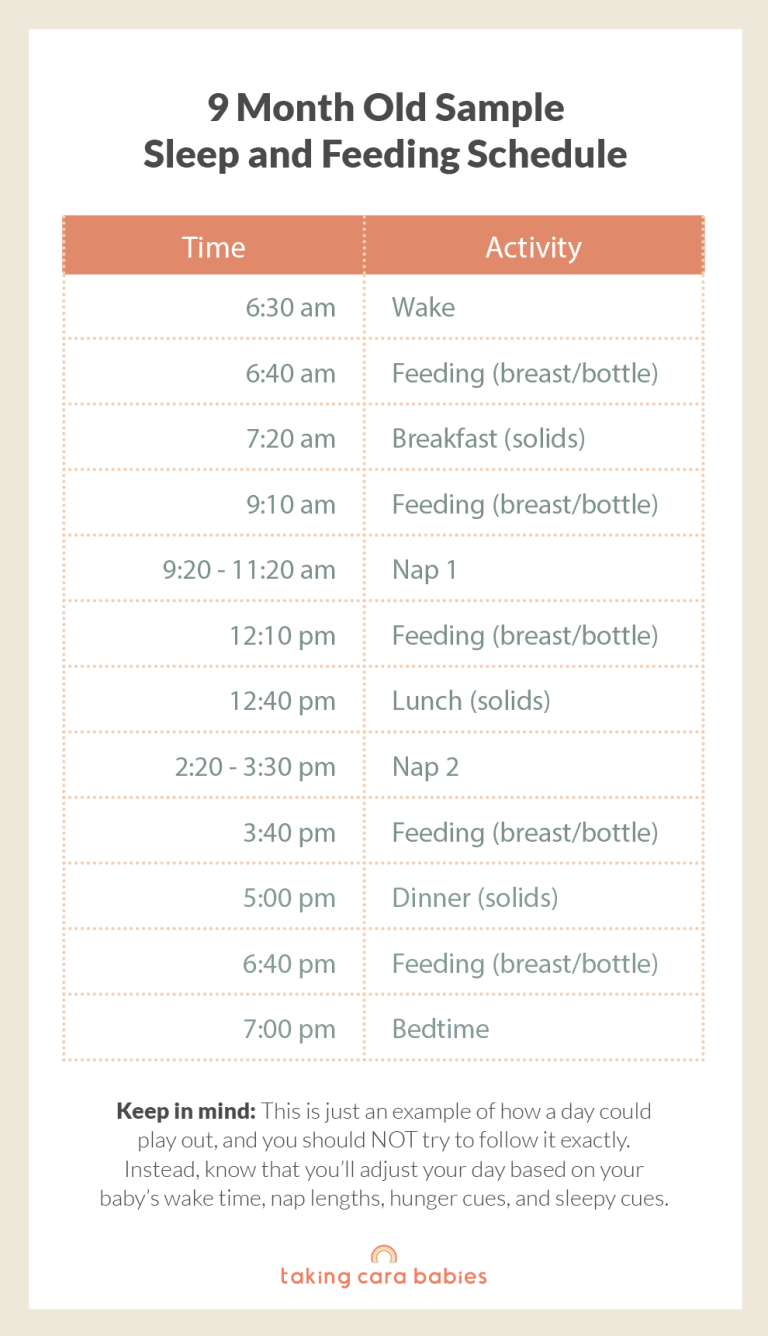 9 month old sample schedule