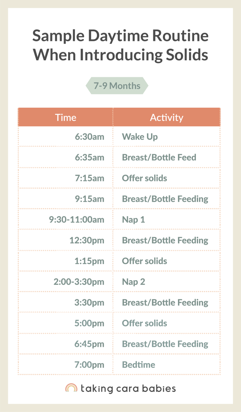 Sample daytime routine for 7 to 9 month old when introducing solids