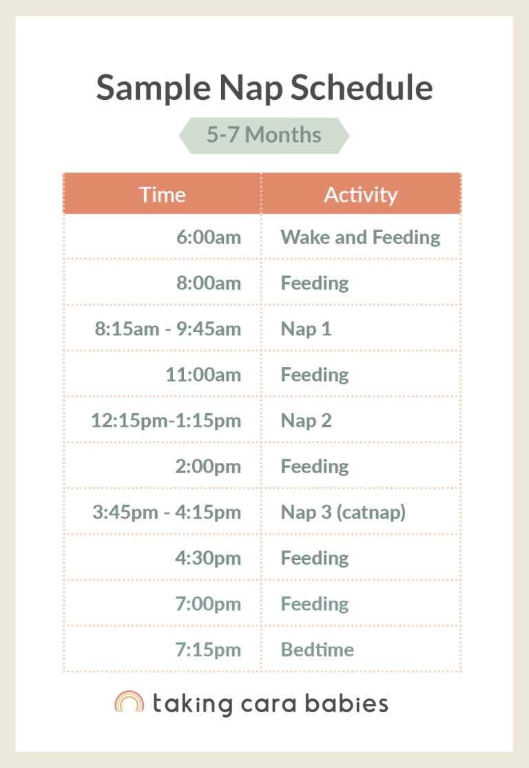 Sample nap schedule for 5 to 7 months option 1